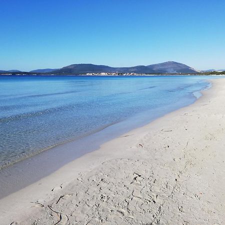 Nuovissimo Appartamento Con Terrazza Alghero Dış mekan fotoğraf